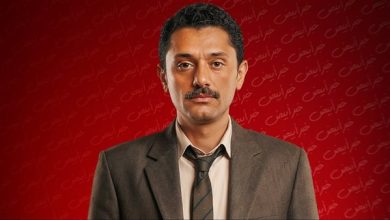 صورة النجم كريم محمود عبد العزيز في المتر سمير دراما رمضان