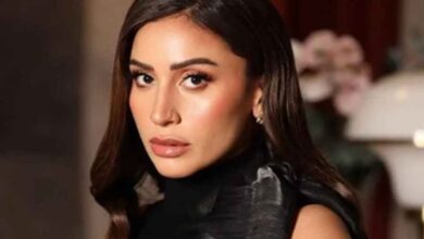 صورة النجمة دينا الشربيني تضع بصمتها وتحصد إشادة كبيرة بمسلسل اتنين غيرنا في دراما رمضان