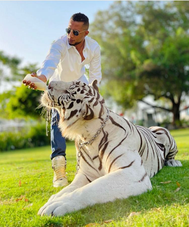 نمر يهاجم محمد رمضان ويصيبه بجروح أثناء تصوير عشماوي