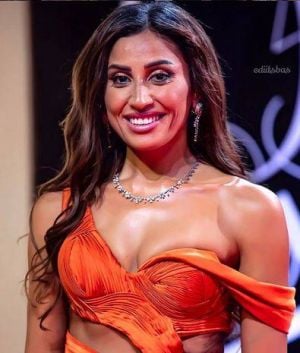 النجمة دينا الشربيني تتخذ إجراءات قانونية ضد شاب نشر لها صورا مفبركة وأشرف زكي يدعمها